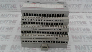 MODULO DE ENTRADA ALLEN BRADLEY 1794-1A16 120 VAC.