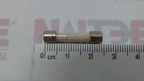 FUSIBLE SIBA 171525.4, 4 AMP, 5 X 25 MM (S/M)