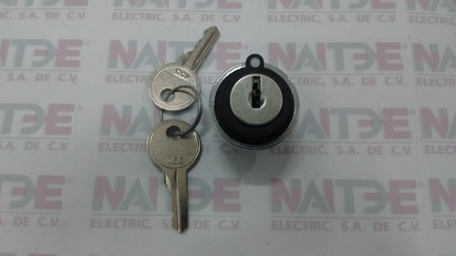 SELECTOR CON LLAVE TELEMECANIQUE ZB2BG3 3 POSICIONES FIJAS